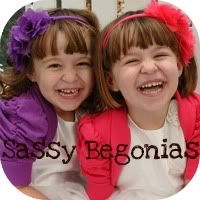 Sassy Begonias