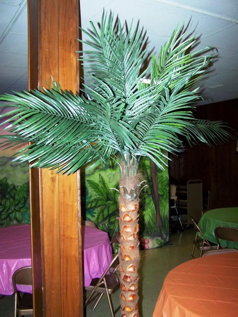 Palm Tree 104_6774_zps13db9124 Tropical Hawaiian Theme
