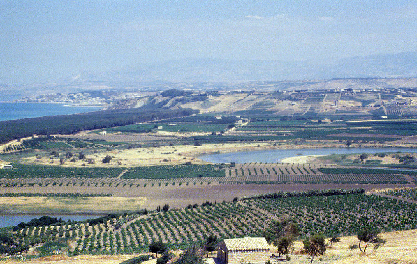 Paisaje_zpsqd8zgfjh.png