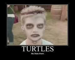 turtles_zpsd7ed27ae.jpg