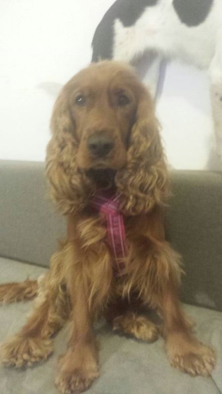 3f3bcf9d-658a-4d6c-a42b-b383ccfd537b_zps