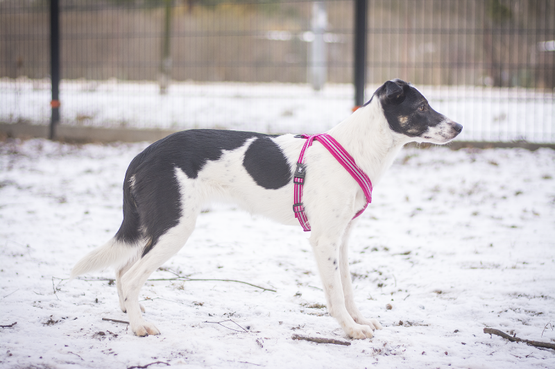 b30deae3-cafd-4fb5-8715-e3abe001f53a_zps