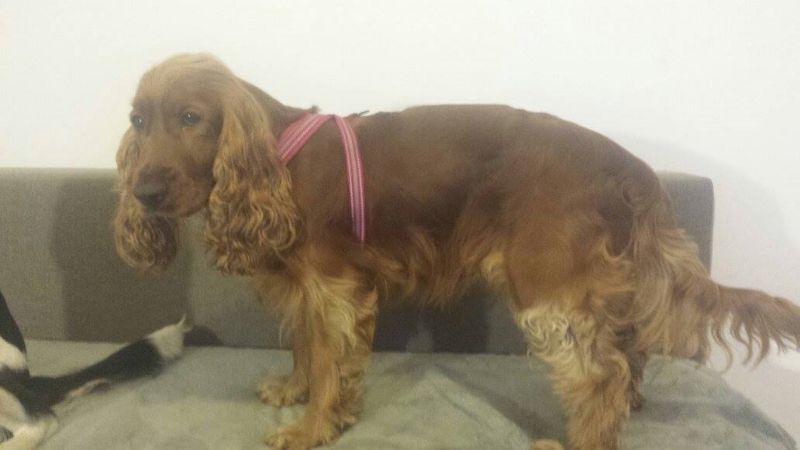 bd08bc43-a823-4115-9add-03940d974596_zps