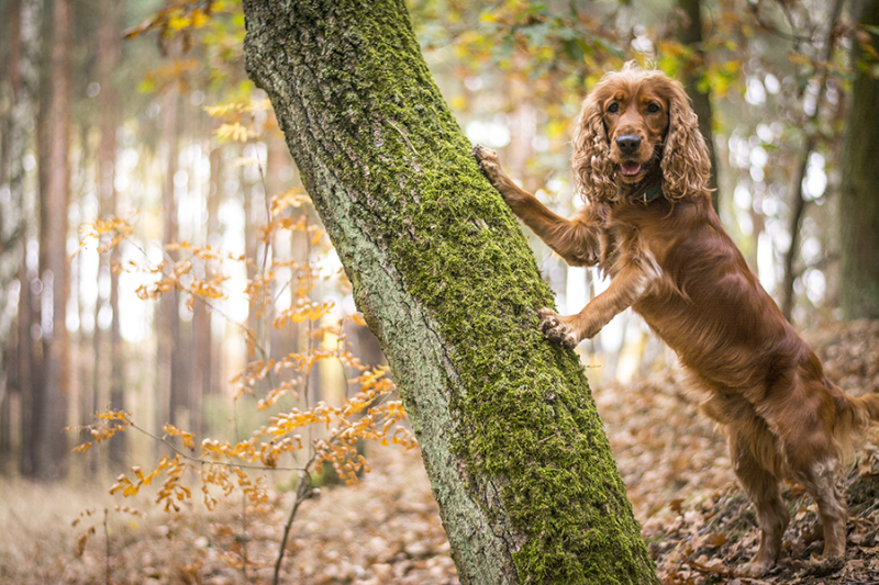 d1506d8c-582a-4f59-99f6-761e73a8e3bf_zps