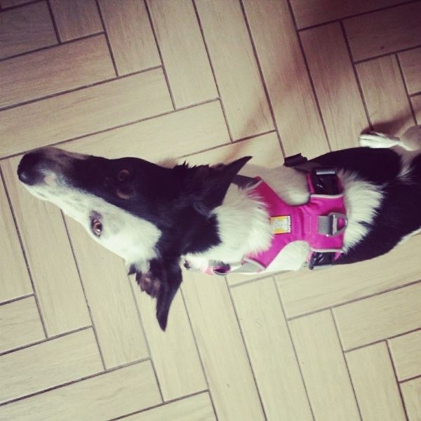 d3fa32a6-3217-41b0-8b68-e7125838ebdc_zps