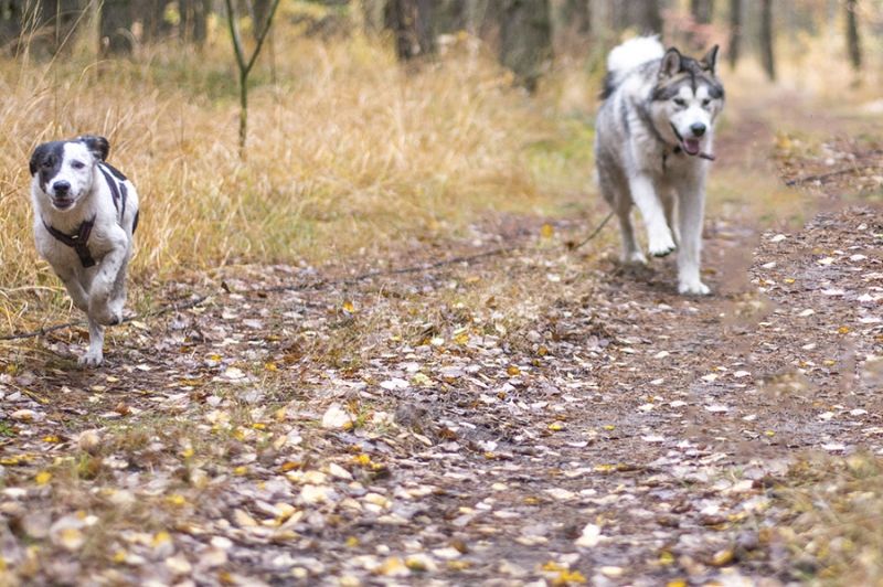 fb45b63e-9d4c-46a3-9936-4b3da83d99a7_zps