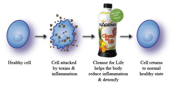 cellular cleanse