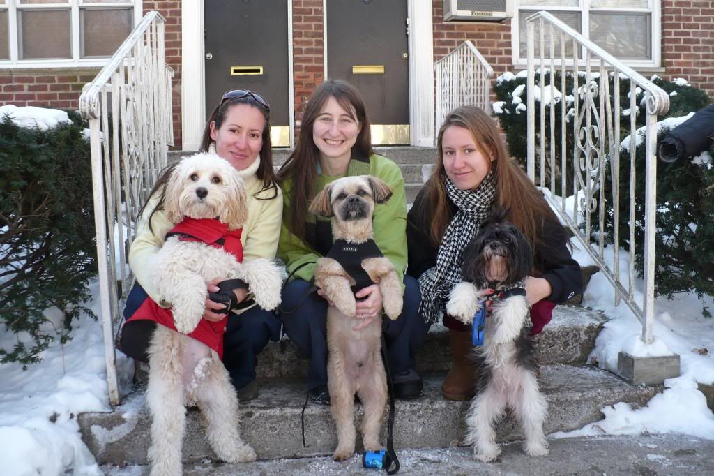 Best Pet Franchise Business NY (c) InHomePetServices best business laptops under $1000