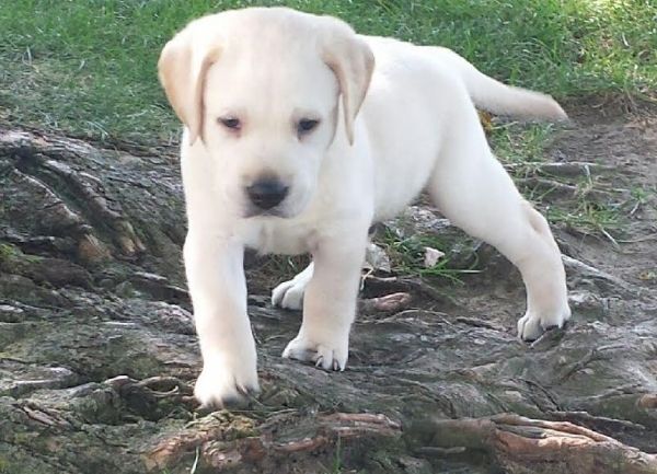 dcd07781-eb27-4ec9-b4c5-25960d012674_zps