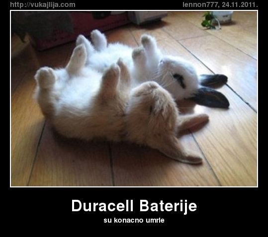 duracell-baterije-792779_zps41d249e5.jpg