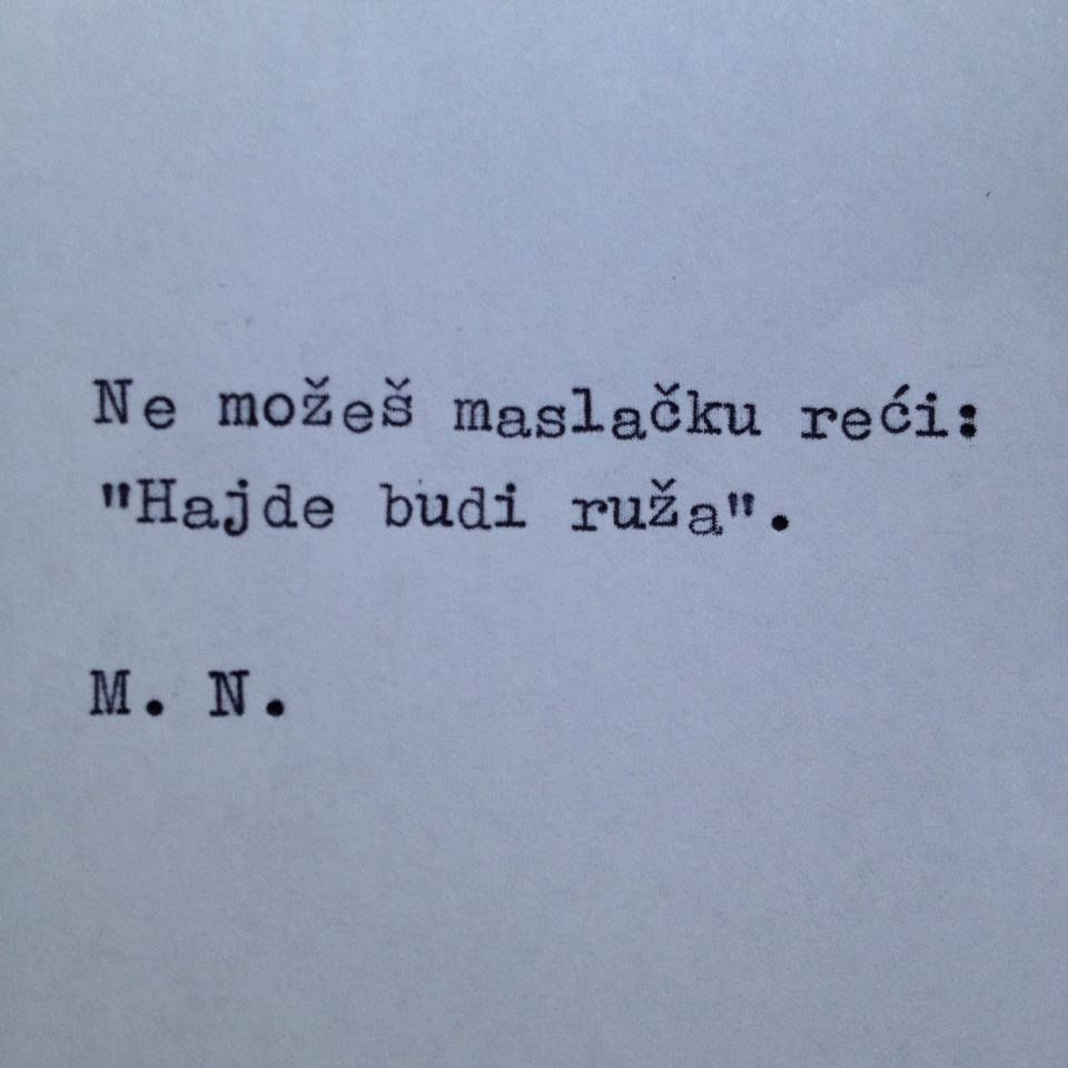 maslacak_zpse0f22300.jpg