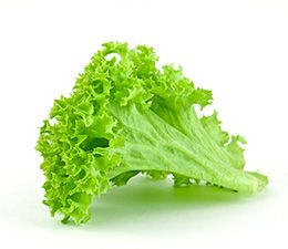 zelena-salata1_zps7f0003ce.jpg