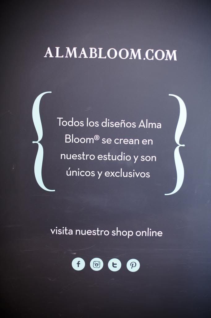 photo AlmaBloomParty80.jpg