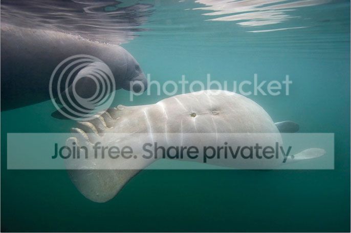 download_028-1.jpeg
