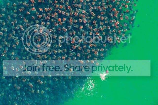 download_031.jpeg