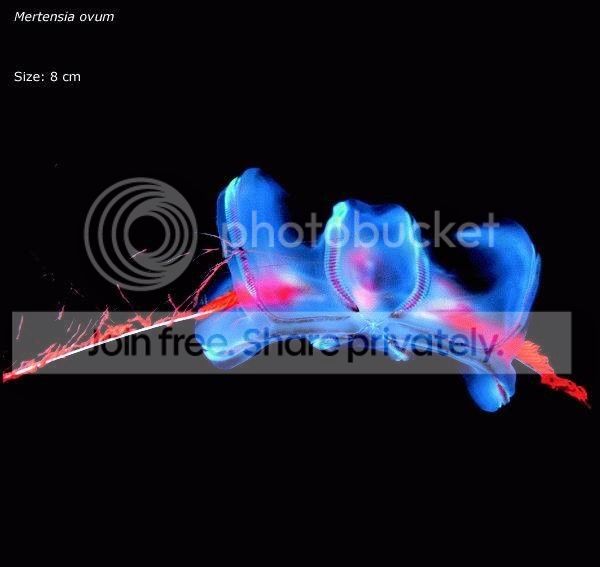 download_zps1ab2d696.jpeg