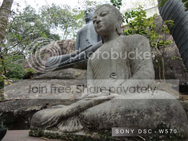 1236_zpsc4f080e2.jpg