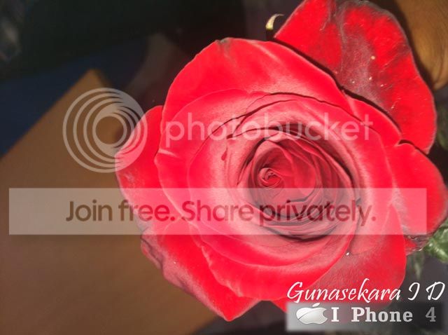 IMG_0134copy_zps978bd24b.jpg